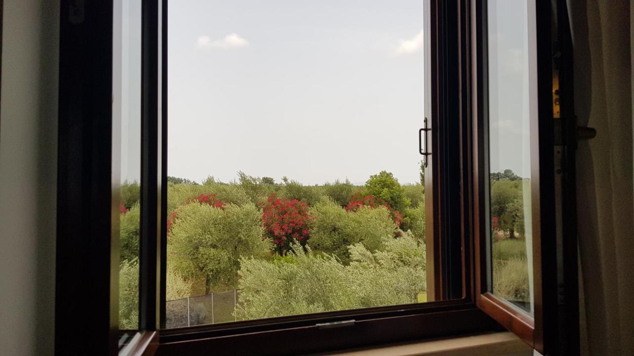 Il Casale Degli Ulivi - Agriturismo - Tenimenti Leone Lanuvio Eksteriør billede