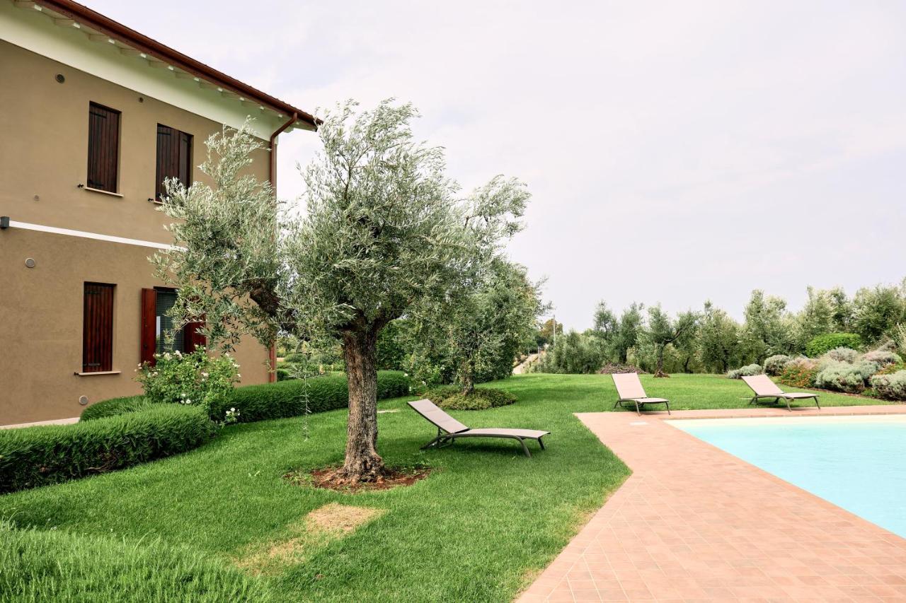 Il Casale Degli Ulivi - Agriturismo - Tenimenti Leone Lanuvio Eksteriør billede