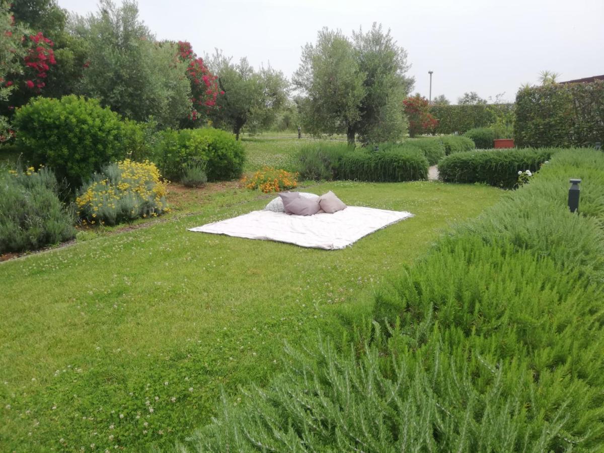Il Casale Degli Ulivi - Agriturismo - Tenimenti Leone Lanuvio Eksteriør billede
