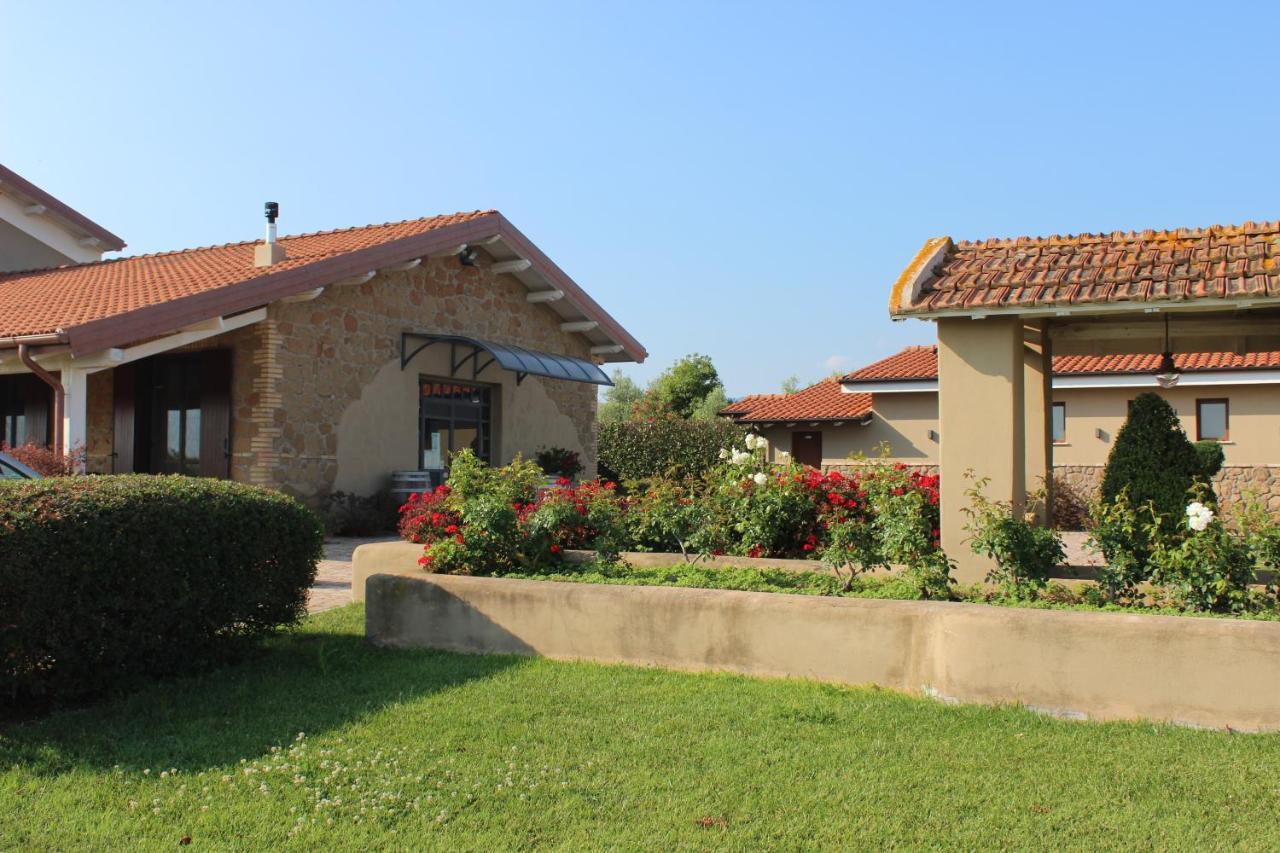 Il Casale Degli Ulivi - Agriturismo - Tenimenti Leone Lanuvio Eksteriør billede