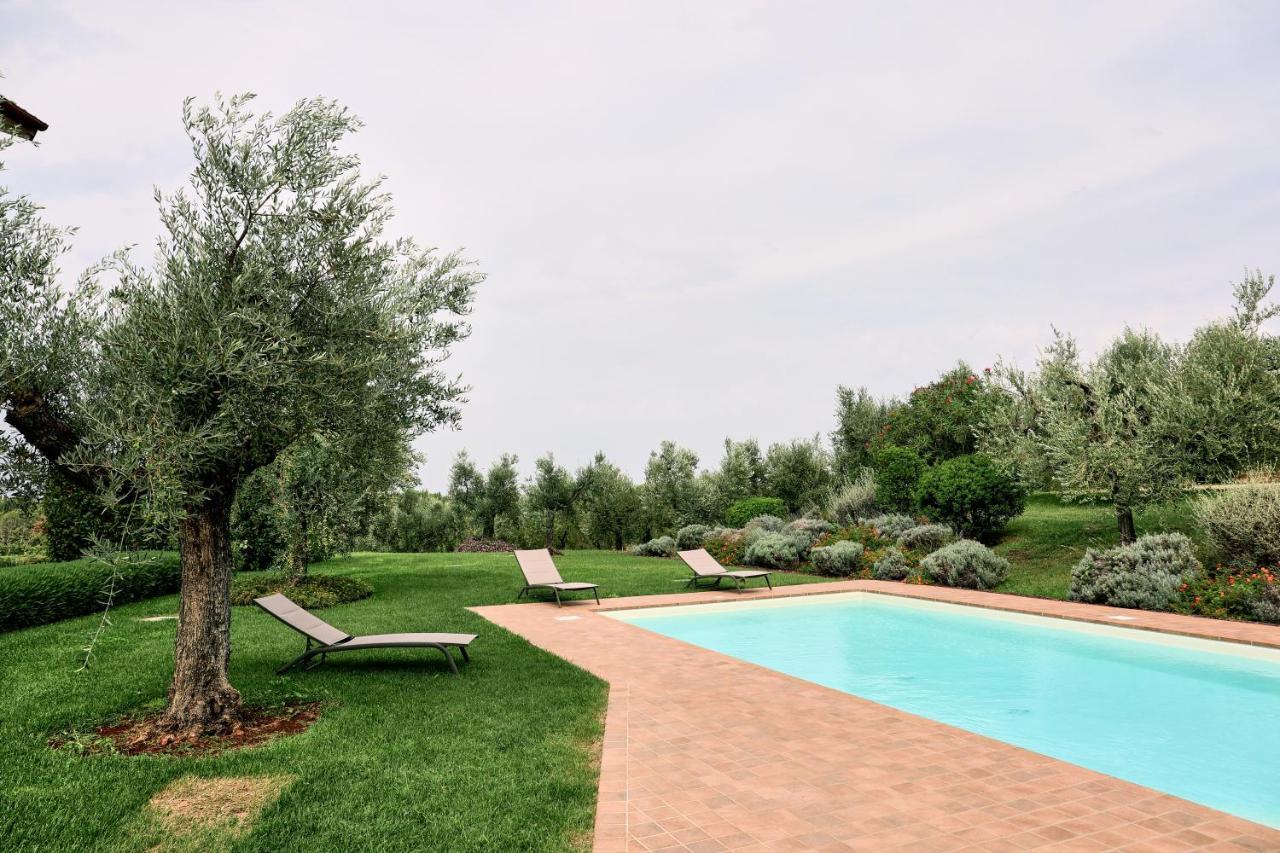 Il Casale Degli Ulivi - Agriturismo - Tenimenti Leone Lanuvio Eksteriør billede
