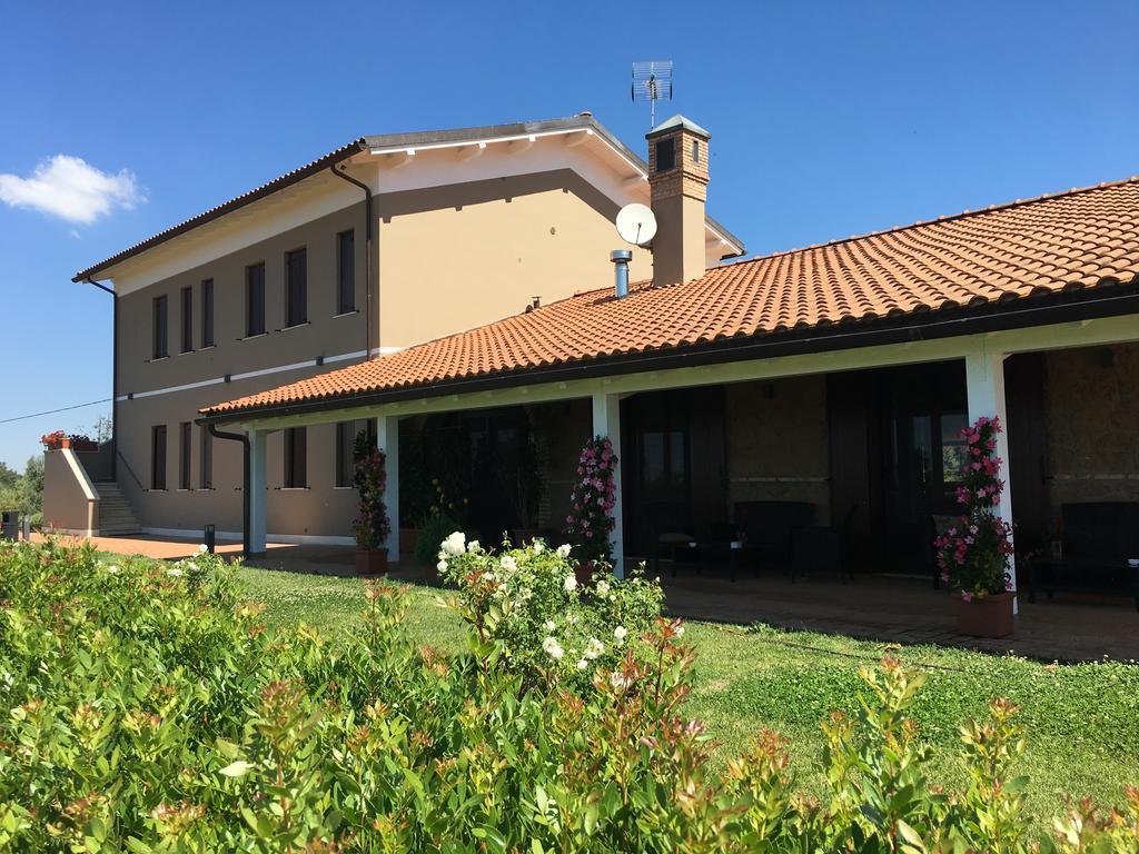 Il Casale Degli Ulivi - Agriturismo - Tenimenti Leone Lanuvio Eksteriør billede