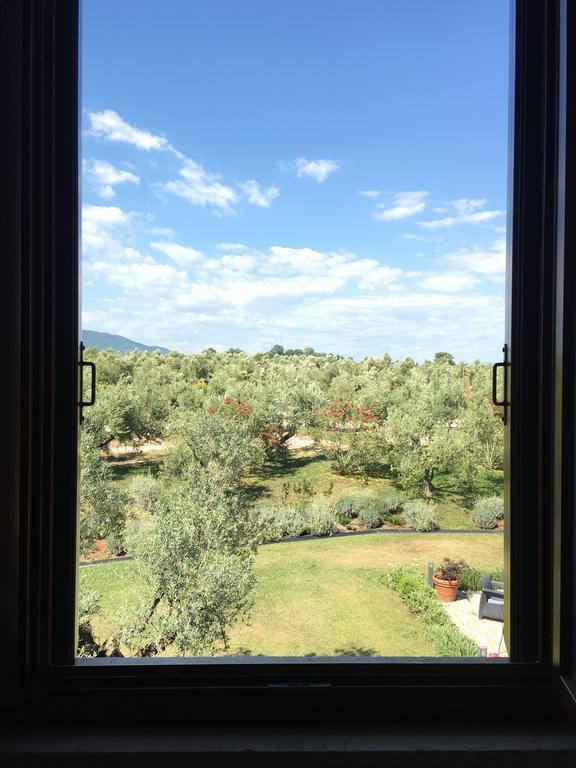 Il Casale Degli Ulivi - Agriturismo - Tenimenti Leone Lanuvio Eksteriør billede