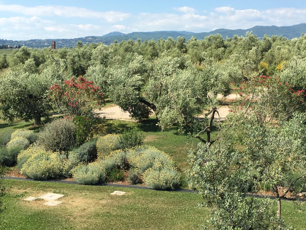 Il Casale Degli Ulivi - Agriturismo - Tenimenti Leone Lanuvio Eksteriør billede