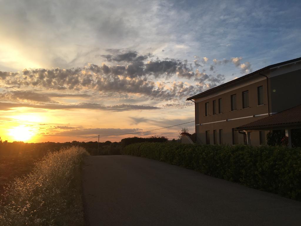 Il Casale Degli Ulivi - Agriturismo - Tenimenti Leone Lanuvio Eksteriør billede
