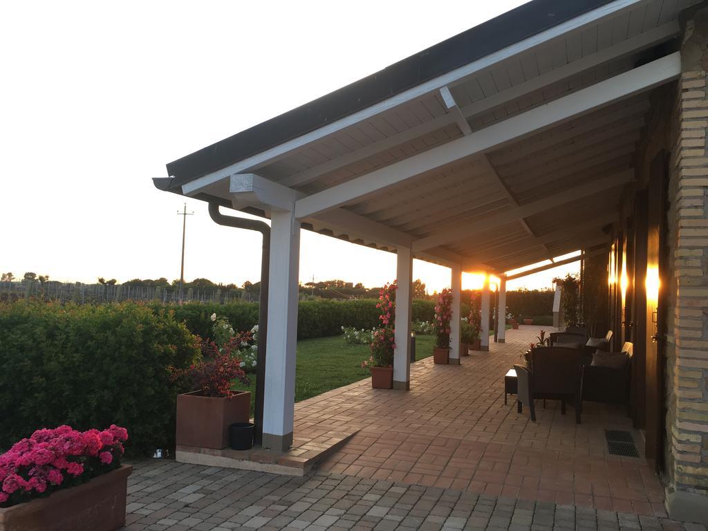 Il Casale Degli Ulivi - Agriturismo - Tenimenti Leone Lanuvio Eksteriør billede