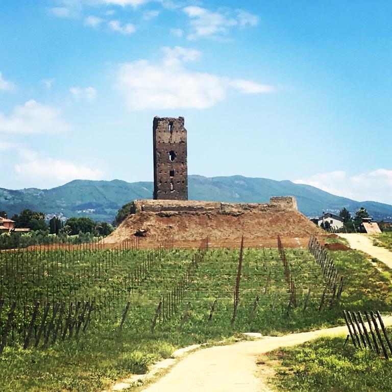Il Casale Degli Ulivi - Agriturismo - Tenimenti Leone Lanuvio Eksteriør billede