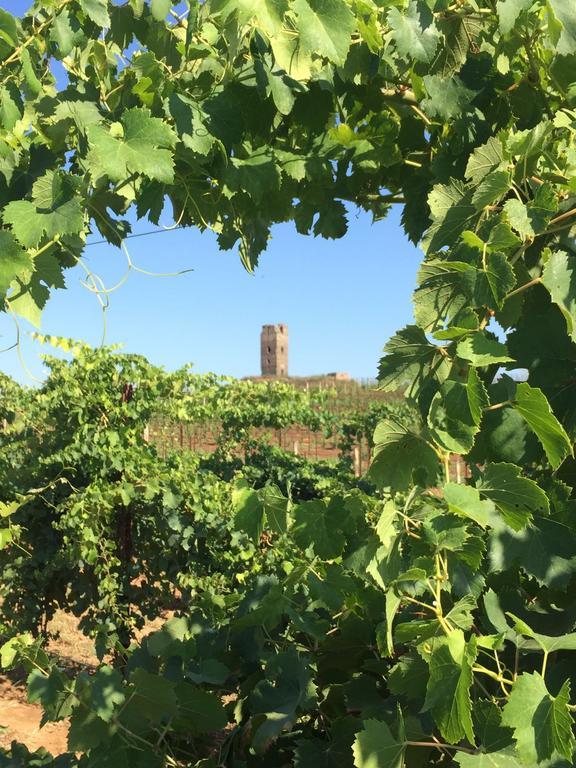 Il Casale Degli Ulivi - Agriturismo - Tenimenti Leone Lanuvio Eksteriør billede