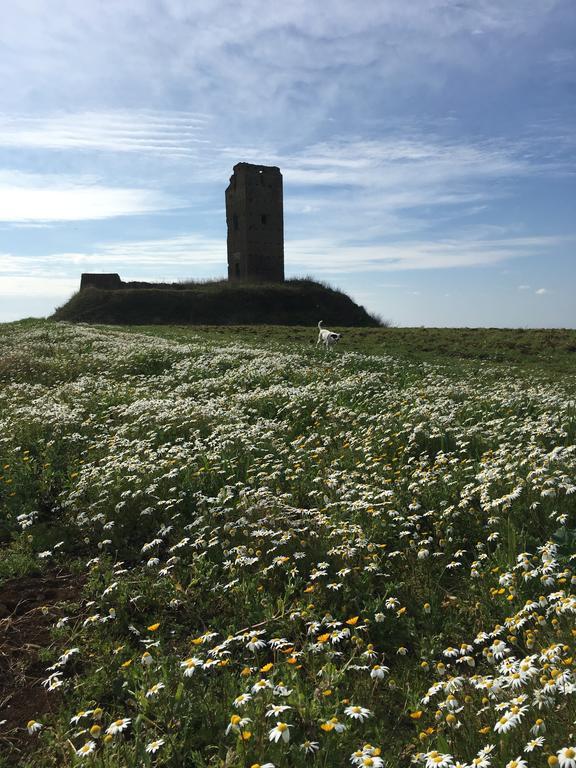 Il Casale Degli Ulivi - Agriturismo - Tenimenti Leone Lanuvio Eksteriør billede