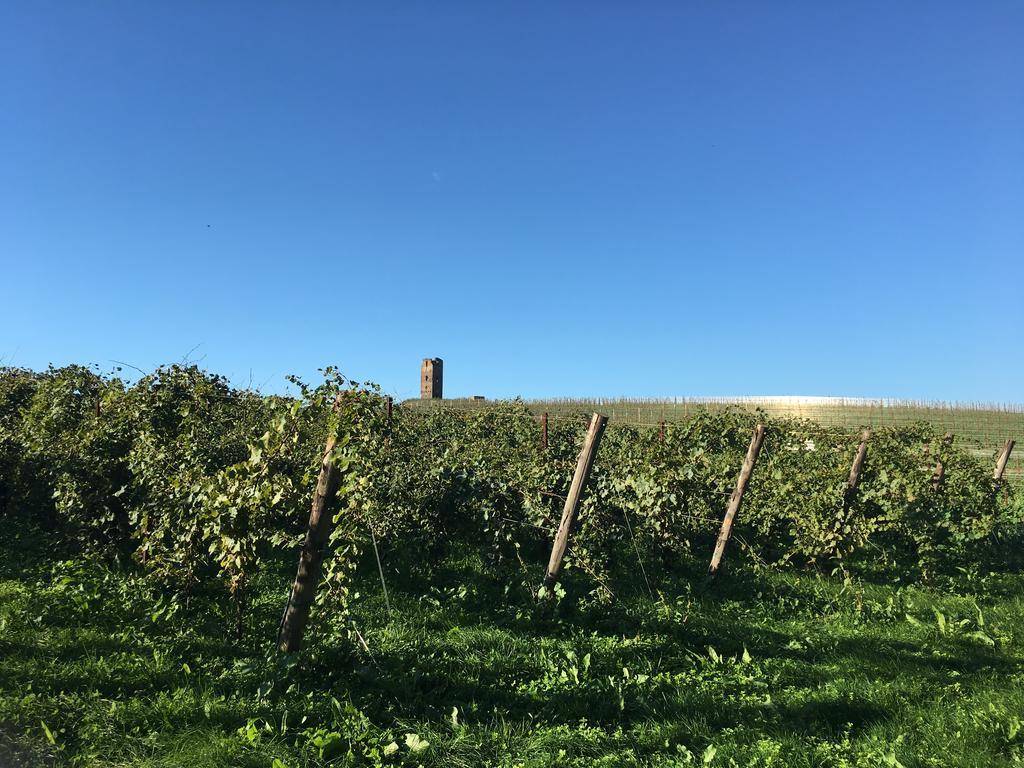 Il Casale Degli Ulivi - Agriturismo - Tenimenti Leone Lanuvio Eksteriør billede