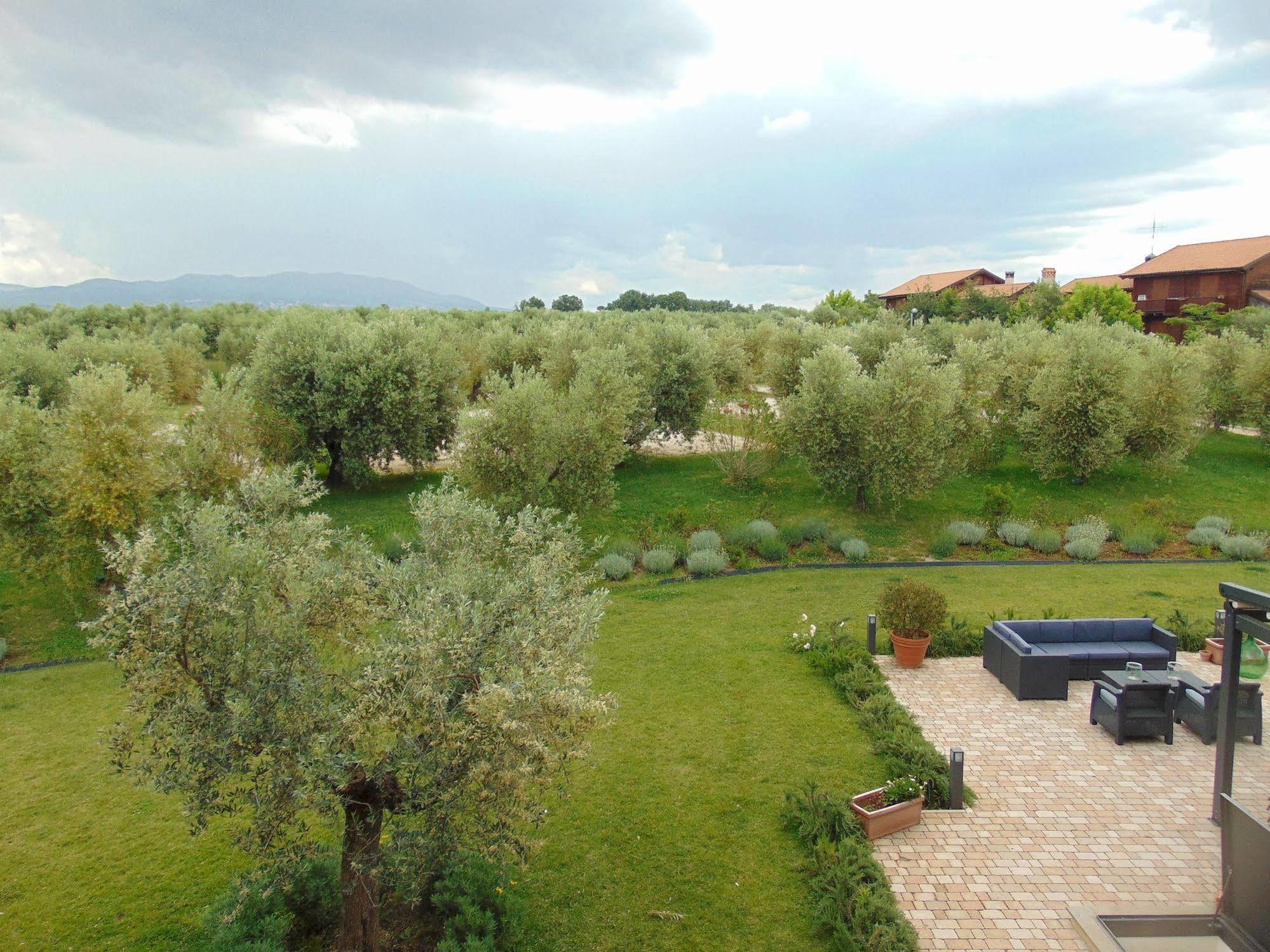 Il Casale Degli Ulivi - Agriturismo - Tenimenti Leone Lanuvio Eksteriør billede