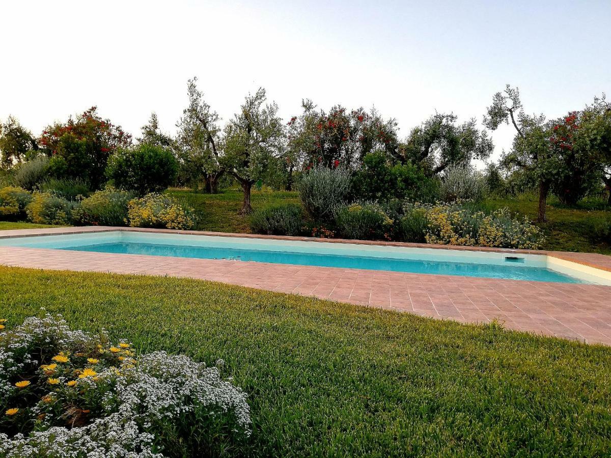 Il Casale Degli Ulivi - Agriturismo - Tenimenti Leone Lanuvio Eksteriør billede