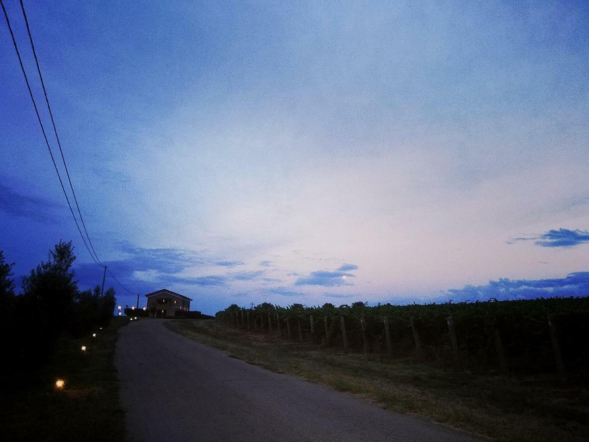 Il Casale Degli Ulivi - Agriturismo - Tenimenti Leone Lanuvio Eksteriør billede